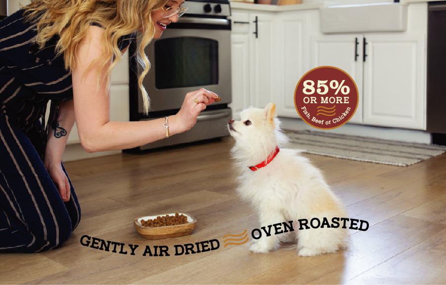 woman feeding air dried to dog