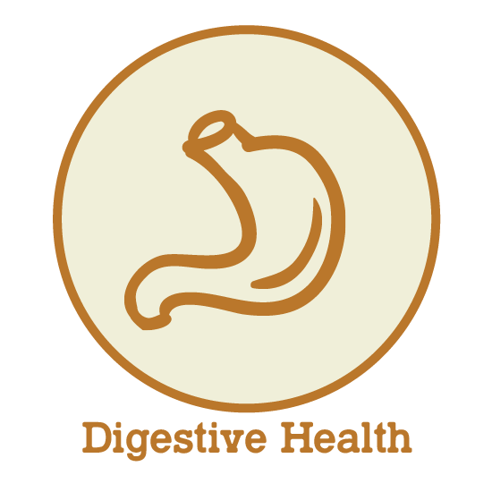 Digestive Health