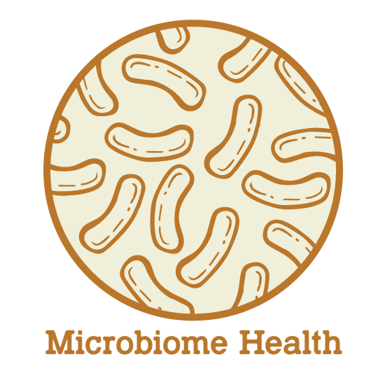 Microbiome Health