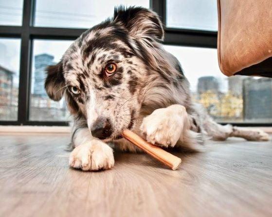 Bully Stick Party Packs Extra Information