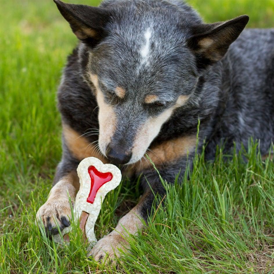 Filled Rolled Rawhide Peanut Butter Flavor Extra Information